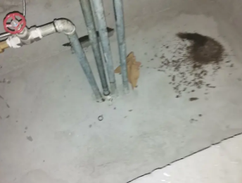 南部卫生间测漏水价格明细